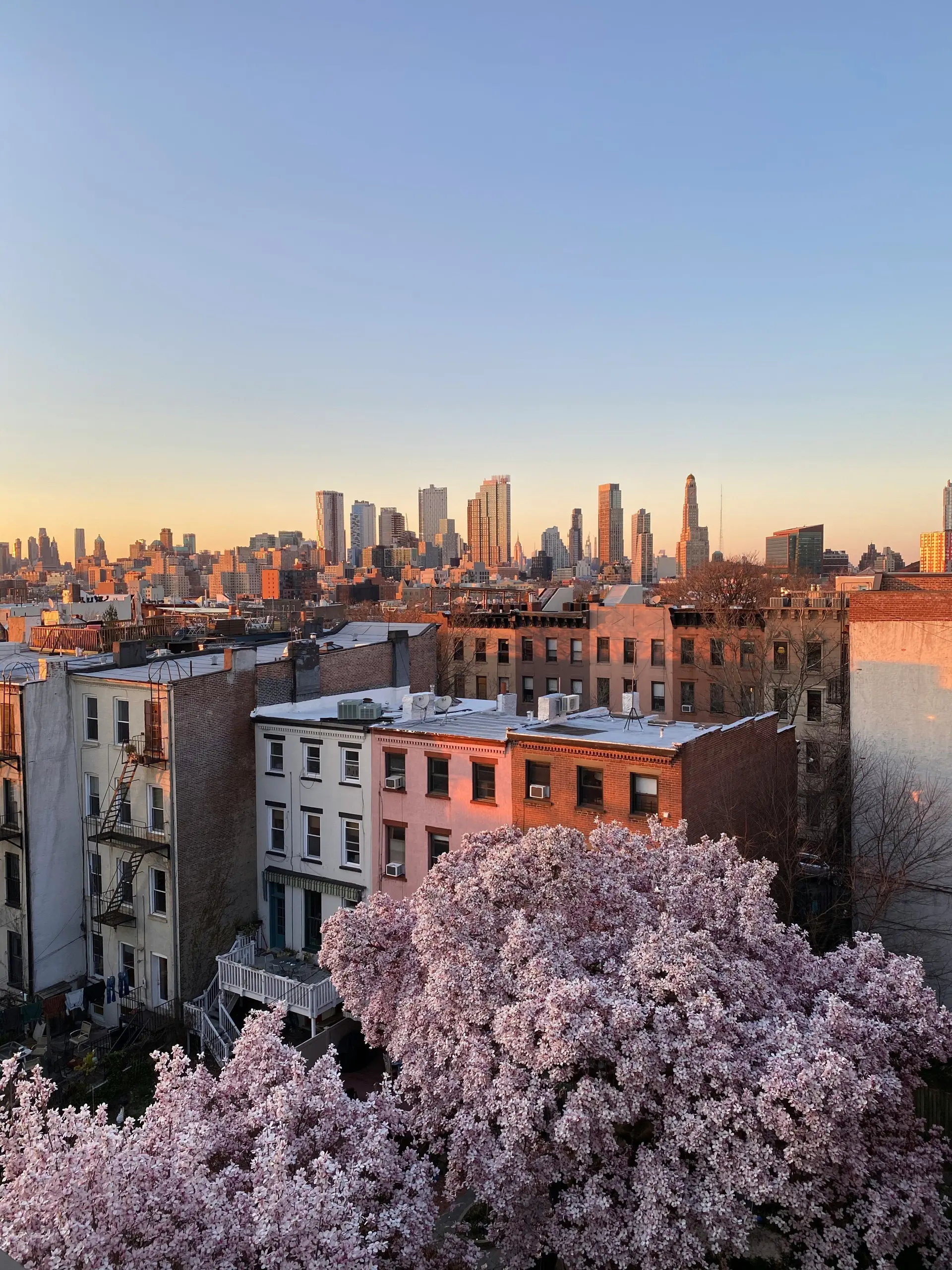 Brooklyn brownstones with the Manhattan skyline at sunset